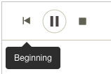 NFV_playback_controls.png